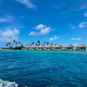 Специальное предложение от Intercontinental Maldives:  Intercontinental Maldives продлевает скидки на НОВОГОДНИЕ КАНИКУЛЫ!!! 